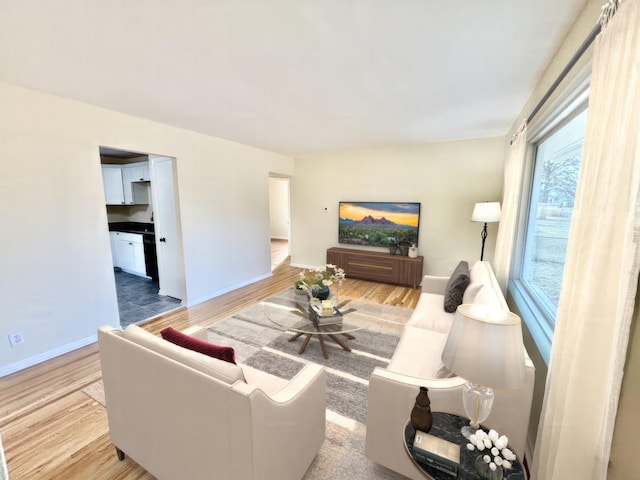 living room with hardwood / wood-style floors