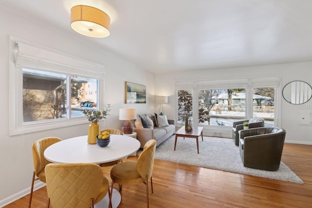 living room featuring a healthy amount of sunlight and light hardwood / wood-style floors