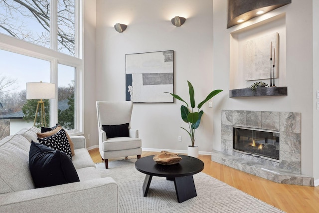 living room featuring wood-type flooring and a fireplace