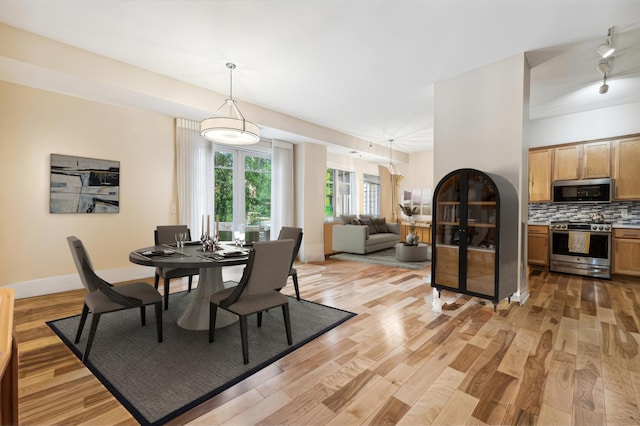 dining space with track lighting and light hardwood / wood-style flooring