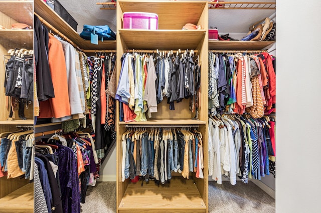 walk in closet featuring carpet floors