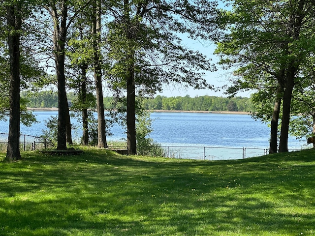 1028 241st Ave NE, East Bethel, MN 55005 - water view with a heavily wooded area