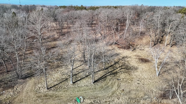 view of local wilderness