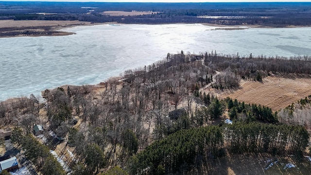 drone / aerial view with a view of trees and a water view