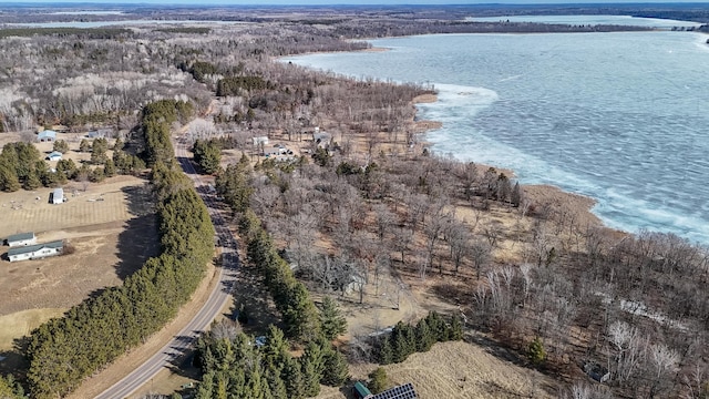 bird's eye view featuring a forest view and a water view