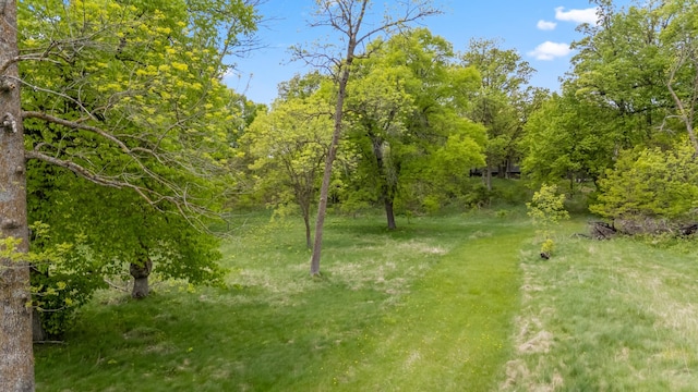 13749 County Road 116, Merrifield, MN 56465 - view of yard