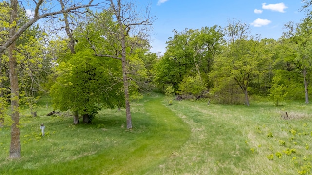13749 County Road 116, Merrifield, MN 56465 - view of yard featuring a forest view