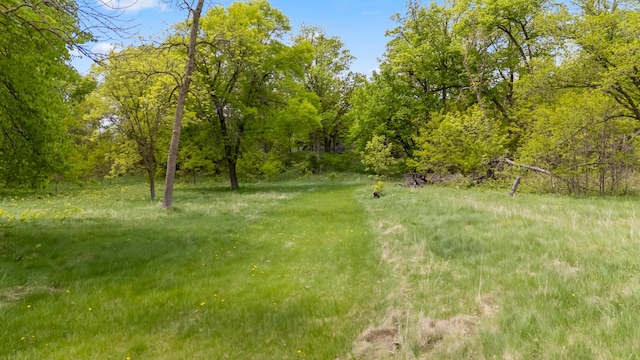 13749 County Road 116, Merrifield, MN 56465 - view of yard
