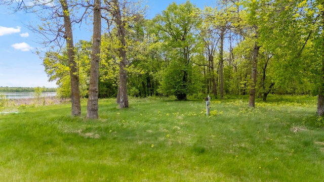 13749 County Road 116, Merrifield, MN 56465 - view of yard featuring a water view