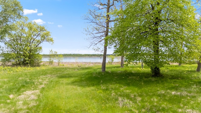 13749 County Road 116, Merrifield, MN 56465 - view of yard featuring a water view
