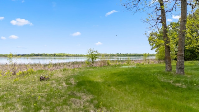 13749 County Road 116, Merrifield, MN 56465 - view of yard featuring a water view