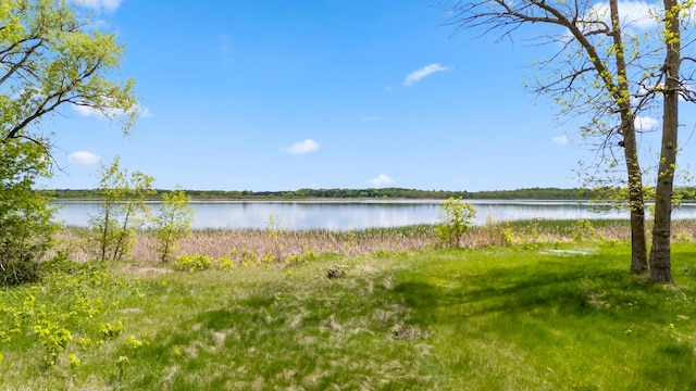 13749 County Road 116, Merrifield, MN 56465 - water view