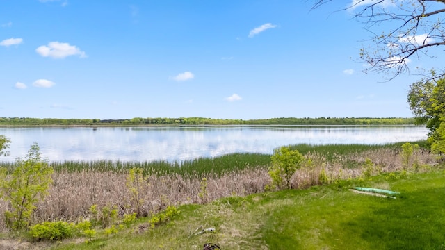 13749 County Road 116, Merrifield, MN 56465 - water view