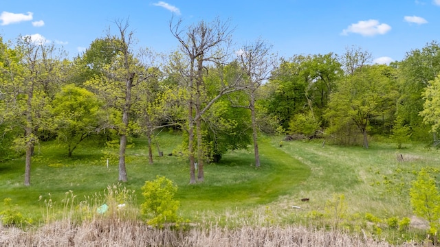 13749 County Road 116, Merrifield, MN 56465 - view of wooded area