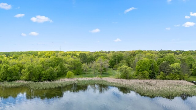 13749 County Road 116, Merrifield, MN 56465 - water view with a forest