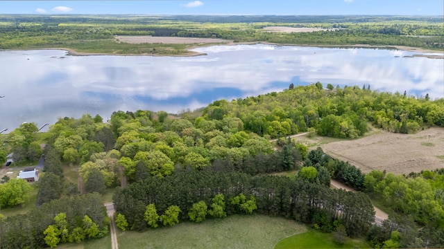 13749 County Road 116, Merrifield, MN 56465 - drone / aerial view of a forest and a nearby body of water