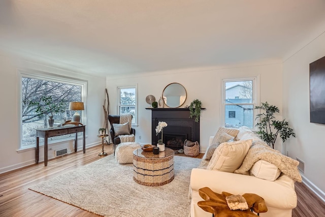 living room featuring hardwood / wood-style floors and a wealth of natural light