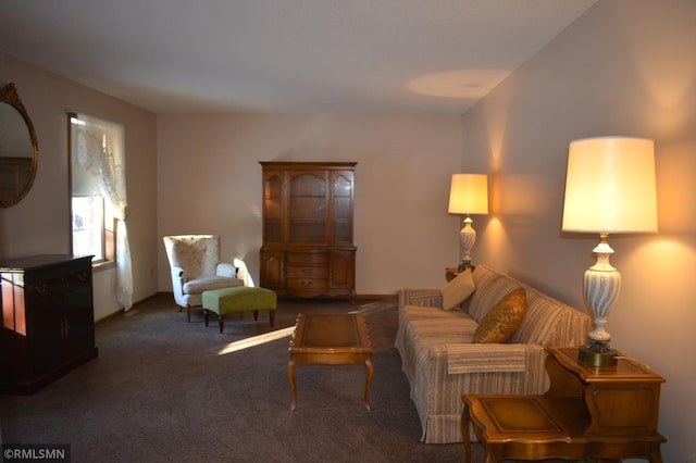 living room with dark colored carpet