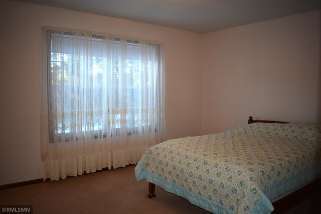 bedroom featuring carpet