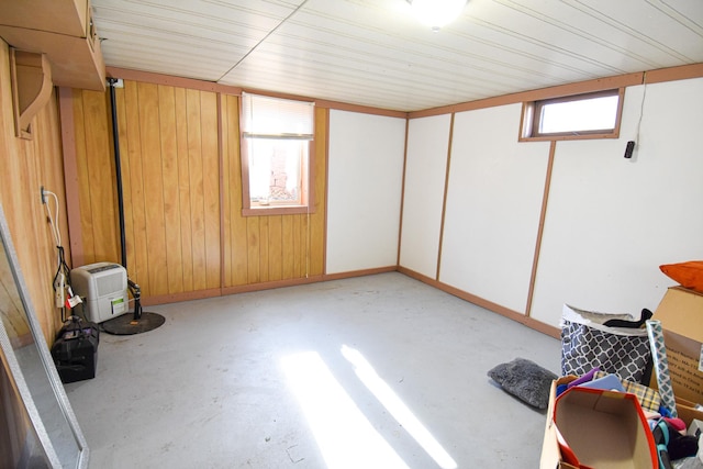 basement featuring wood walls and plenty of natural light