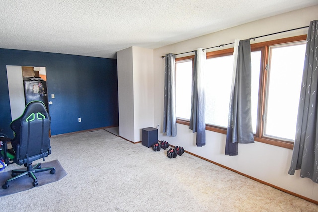 office featuring carpet flooring and a textured ceiling