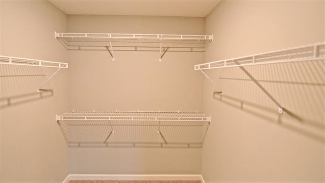 view of spacious closet