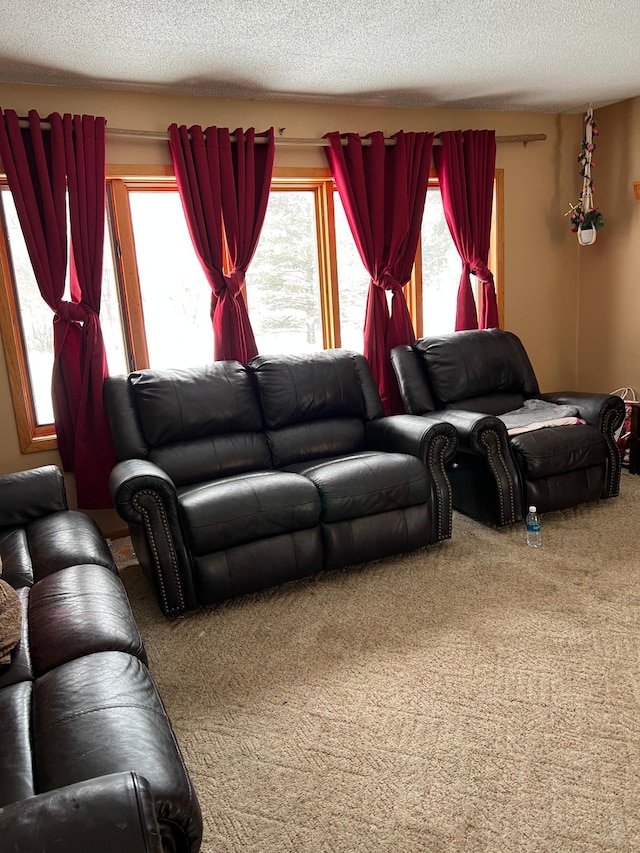 carpeted living room featuring a textured ceiling