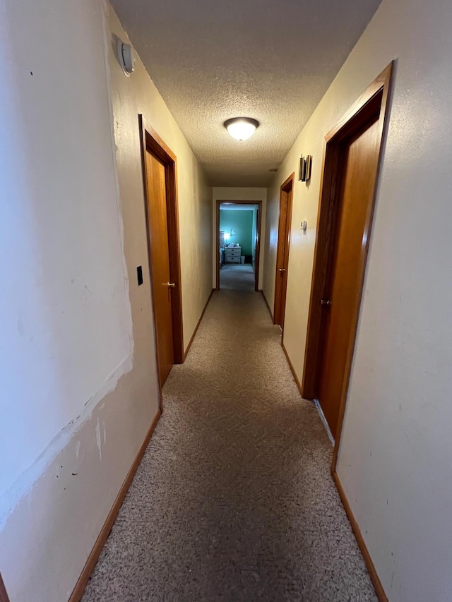 hallway featuring light carpet and a textured ceiling