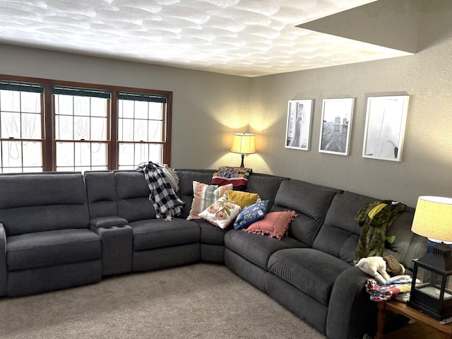 5114 46th St, Merton Twp, MN 55060 - living area with carpet floors and a textured wall