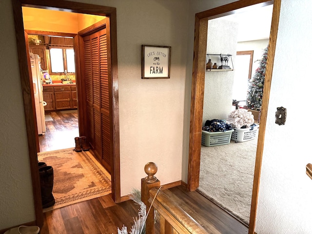 5114 46th St, Merton Twp, MN 55060 - corridor featuring dark wood-style floors, a textured wall, a sink, and baseboards