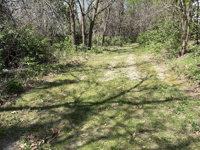 5114 46th St, Merton Twp, MN 55060 - view of wooded area