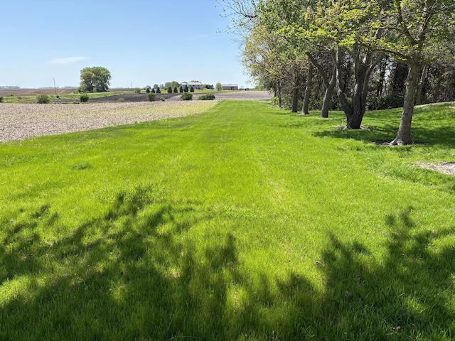 5114 46th St, Merton Twp, MN 55060 - view of green lawn featuring a rural view