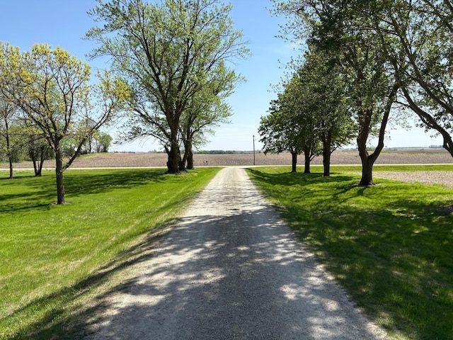 5114 46th St, Merton Twp, MN 55060 - view of dirt / gravel road