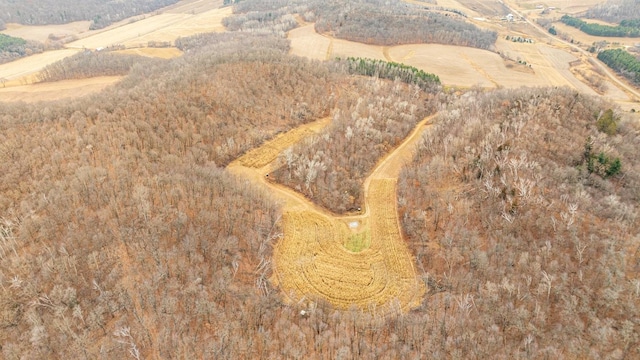 bird's eye view with a rural view