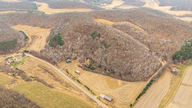 birds eye view of property featuring a rural view