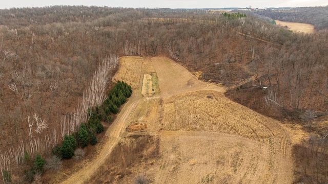 aerial view with a rural view