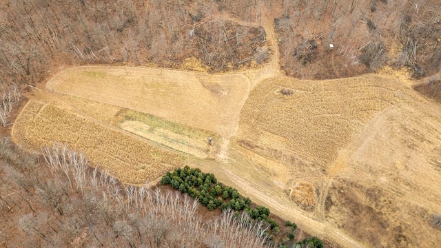 bird's eye view with a rural view