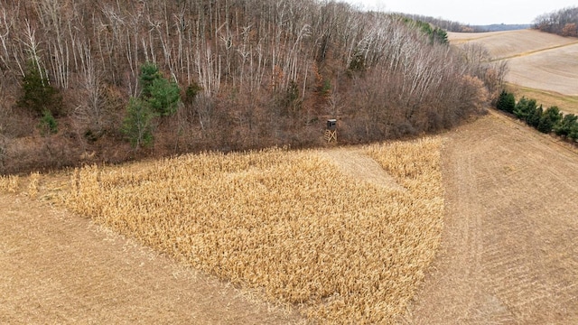 view of road with a rural view