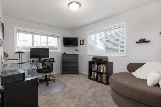 office with light carpet and a wealth of natural light