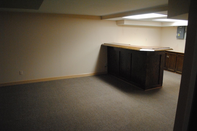 bar with light colored carpet and dark brown cabinets