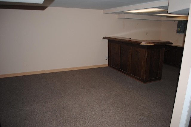 bar with carpet floors and dark brown cabinets