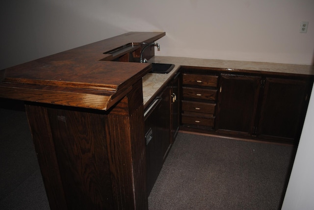 kitchen featuring sink, dark colored carpet, and dark brown cabinetry