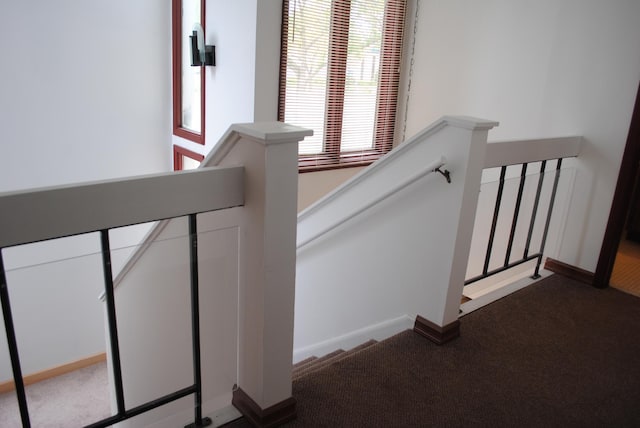 staircase with carpet flooring