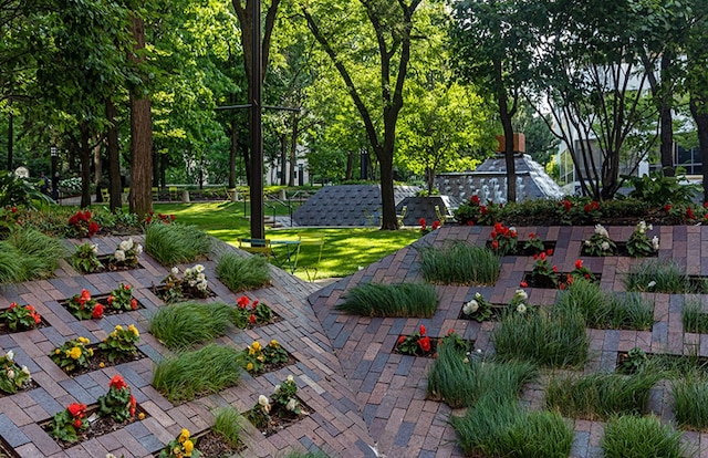 view of community with a patio and a lawn