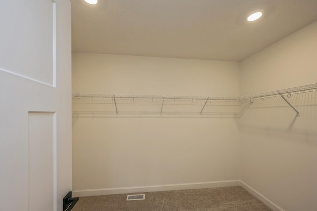 walk in closet with carpet floors