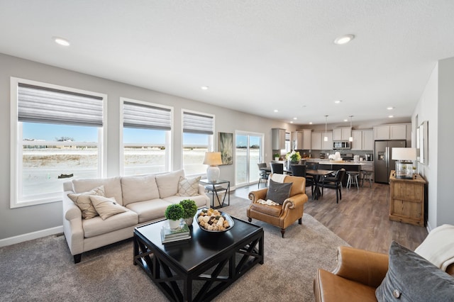 living room with hardwood / wood-style flooring