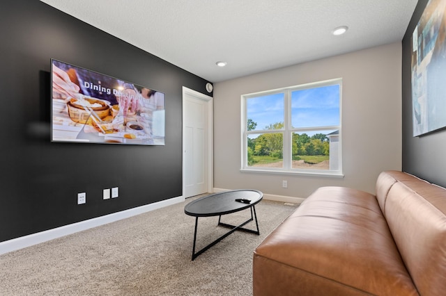 carpeted cinema room with a textured ceiling