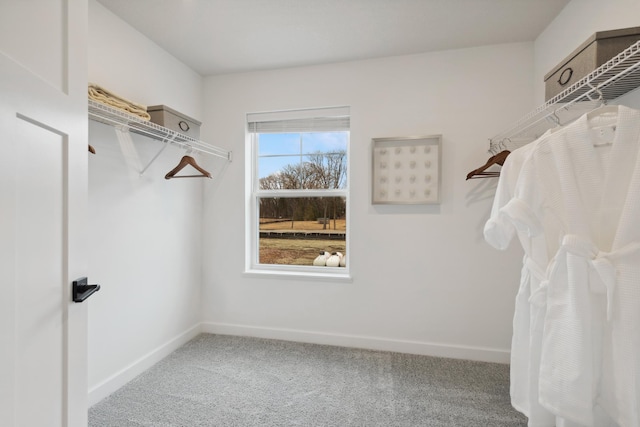 spacious closet with carpet flooring