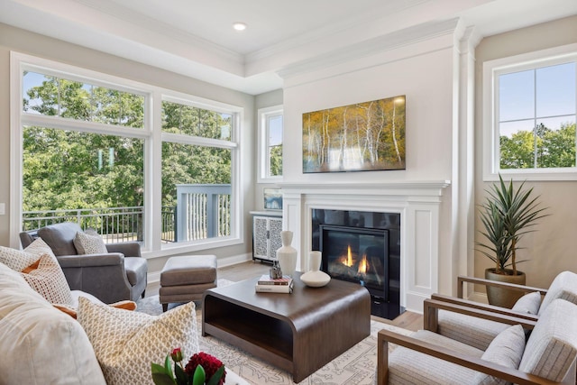 living room featuring ornamental molding, a wealth of natural light, light hardwood / wood-style floors, and a raised ceiling