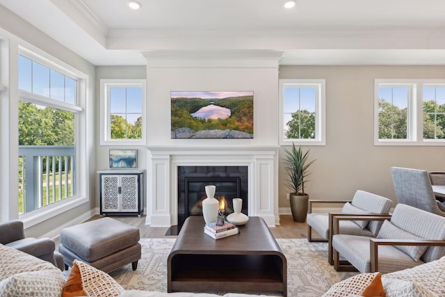 living room with crown molding, a tray ceiling, and light wood-type flooring